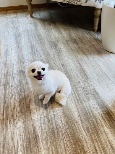にこちゃん♡