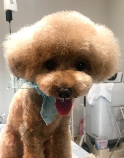 ライくん♪