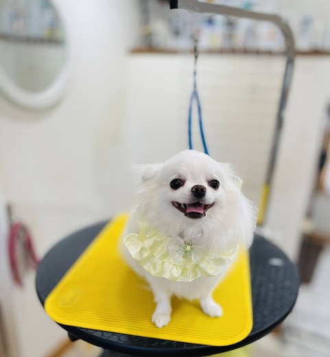 ふくちゃん♡