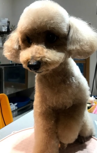 ライムくん♪