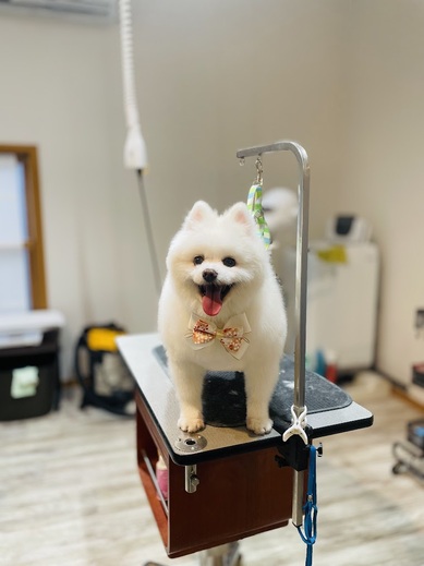 幸多くん♪