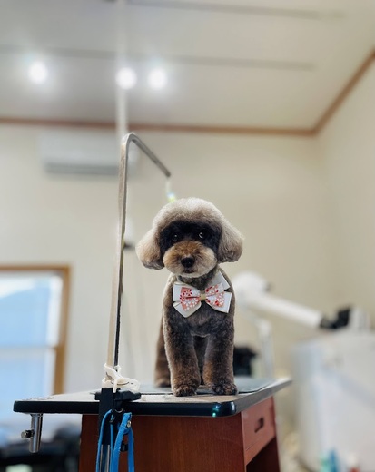三郎くん♪