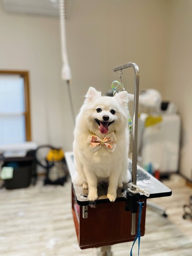 クルムちゃん♡