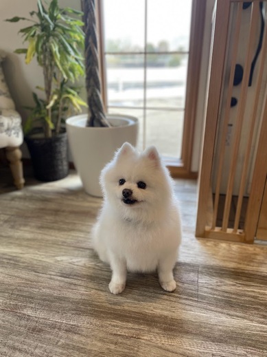 幸多くん♪