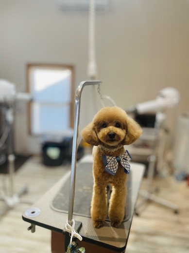 こたろうくん♪