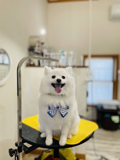 クルムちゃん♡