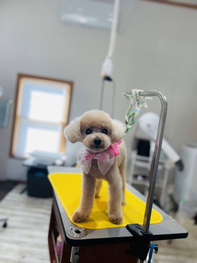ライくん♪