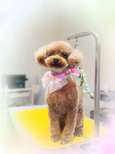 かのんちゃん♡