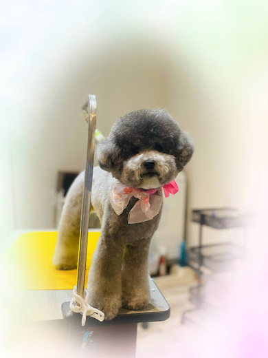 ごえもんくん♪