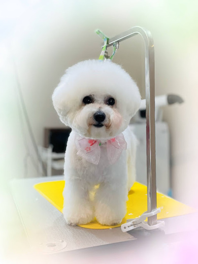 もくちゃん♡