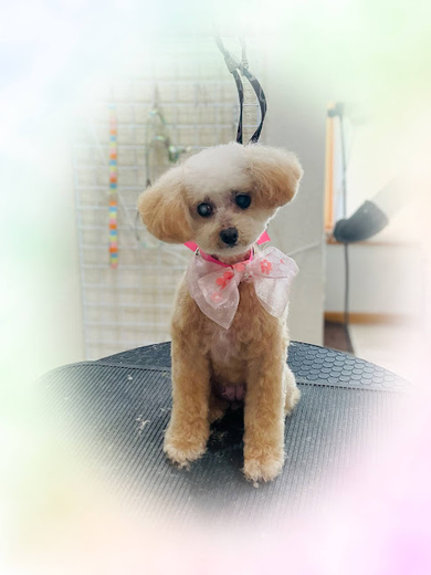 青葉ちゃん♡