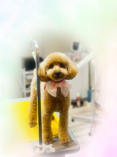 こたろうくん♪
