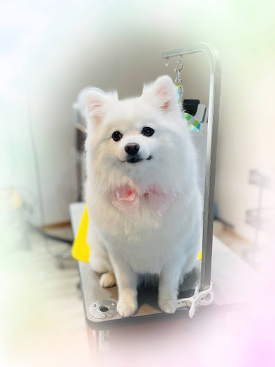 クルムちゃん♡