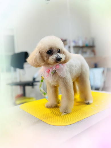 もこちゃん♡
