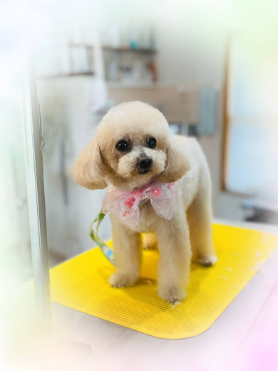 もこちゃん♡