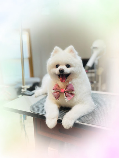 幸多くん♪