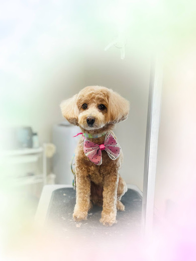 ナツちゃん♡