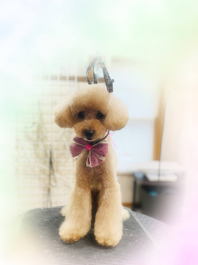 ライムくん♪