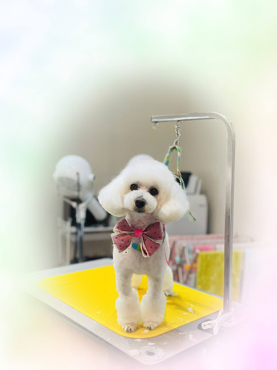 チバリーちゃん♡