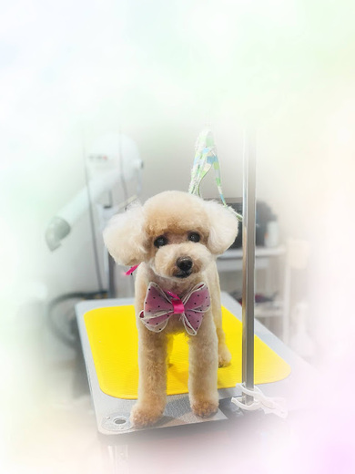 ライくん♪