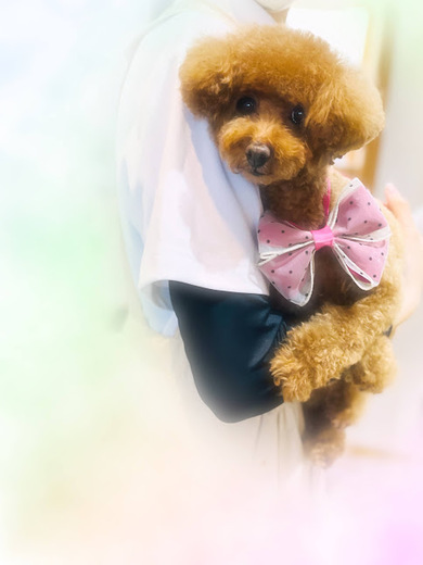 あいちゃん♡