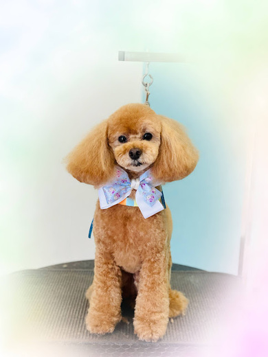 こるくちゃん♡