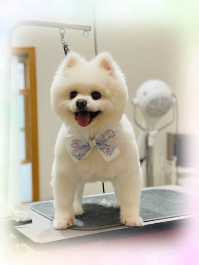 幸多くん♪