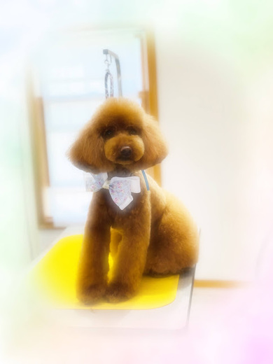 クッキーくん♪るるちゃん♡