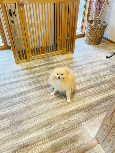 バニラくん♪