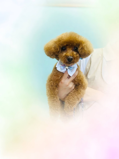 あいちゃん♡