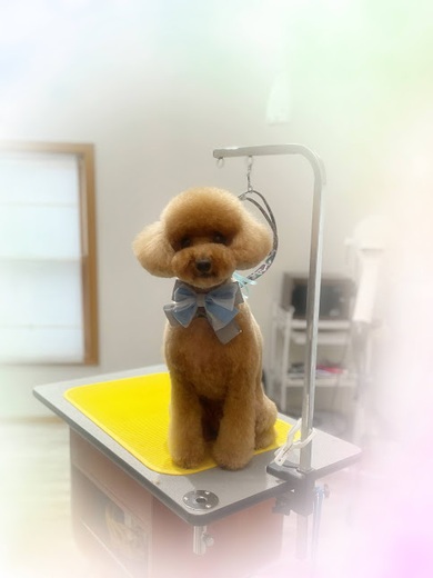 モカくん♪