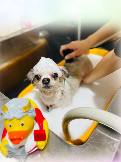 ヒコウくん♪エデンくん♪