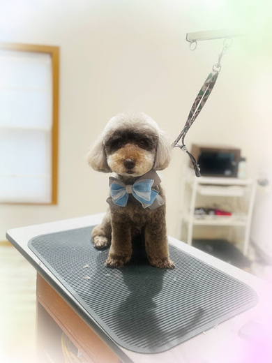 三郎くん♪