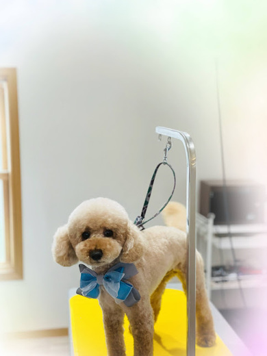こたろうくん♪