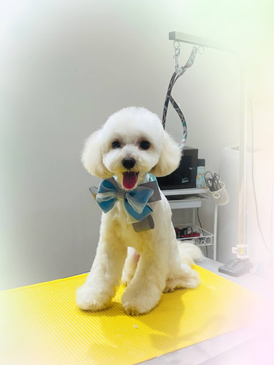 ふうくん♪