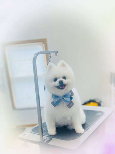 幸多くん♪