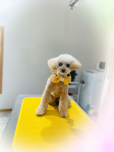 青葉ちゃん♡