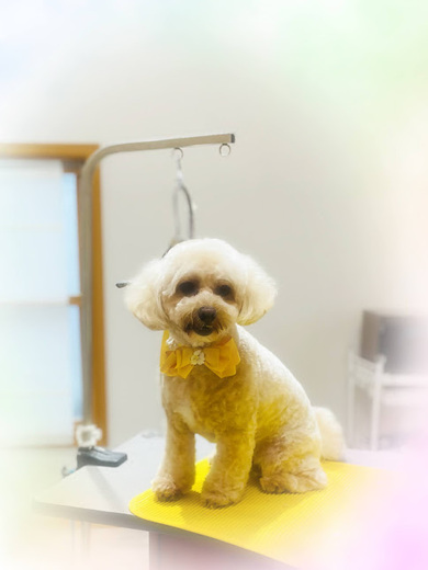 むぎくん♪