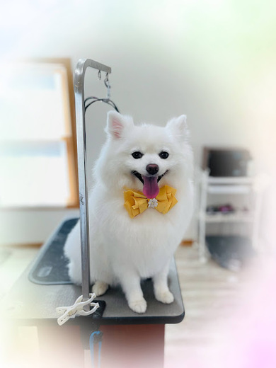 クルムちゃん♡