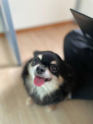 ココアちゃん♡
