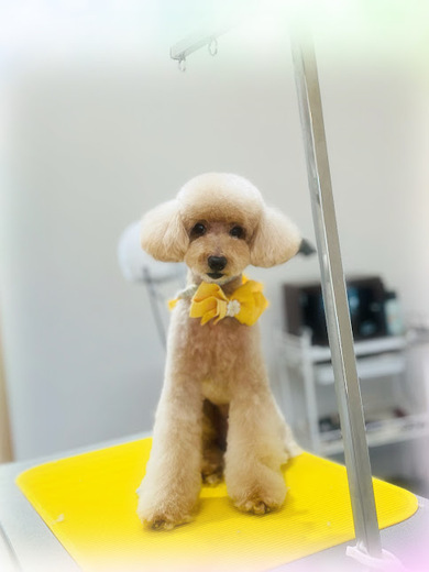 ライムくん♪
