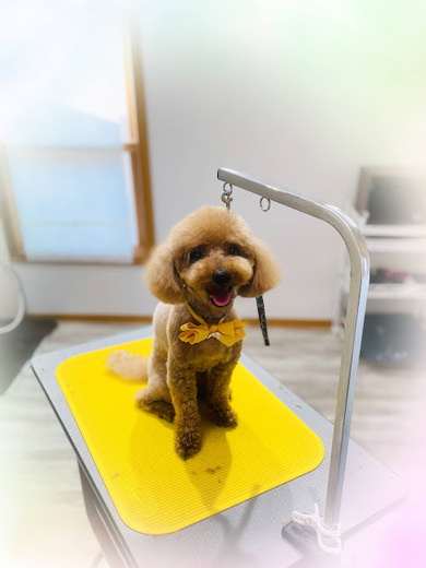 そらくん♪