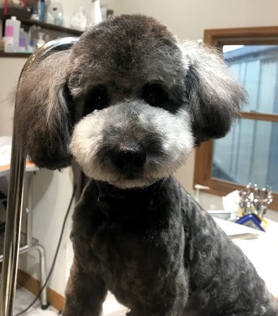 チビくん♪