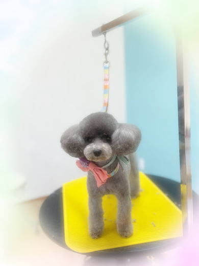 こまりちゃん♡