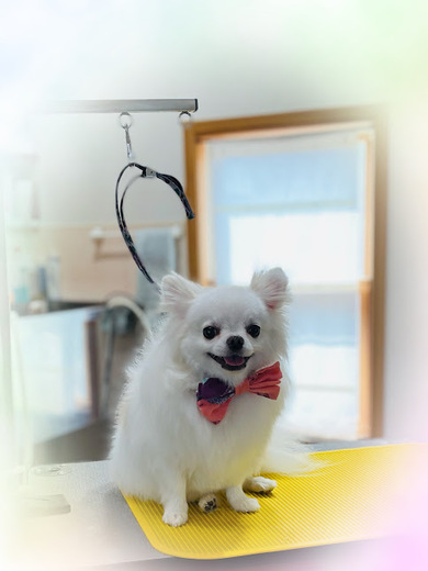 ふくちゃん♡まめくん♪