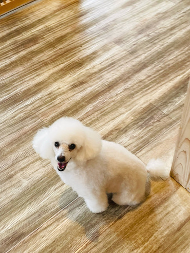 リリーちゃん♡