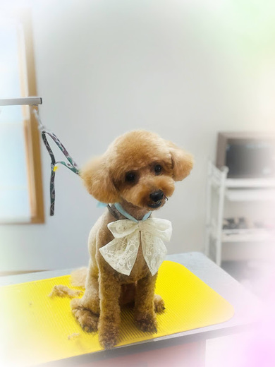 そらくん♪