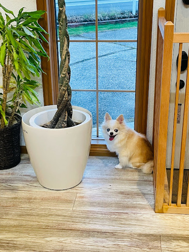 メイちゃん♡
