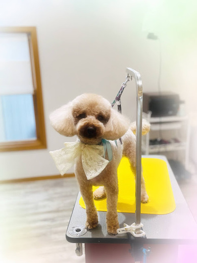 ハニちゃん♡