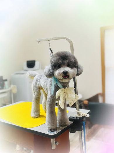 ごえもんくん♪